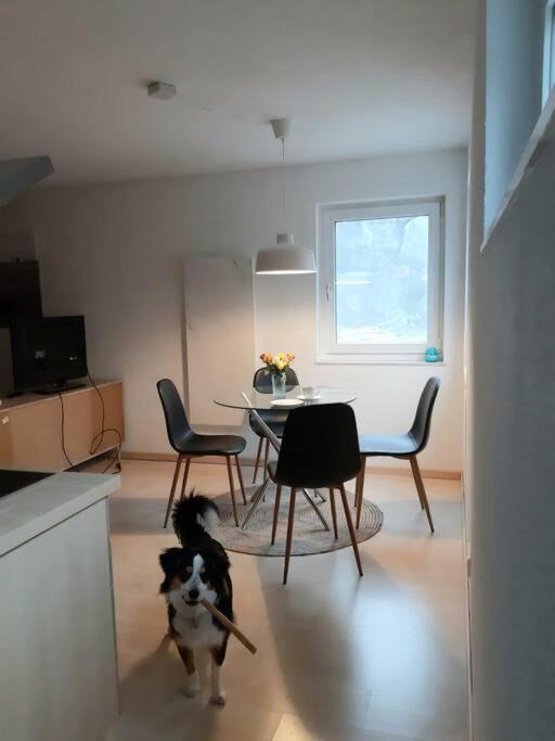 Photo of Livingroom in Hechingen