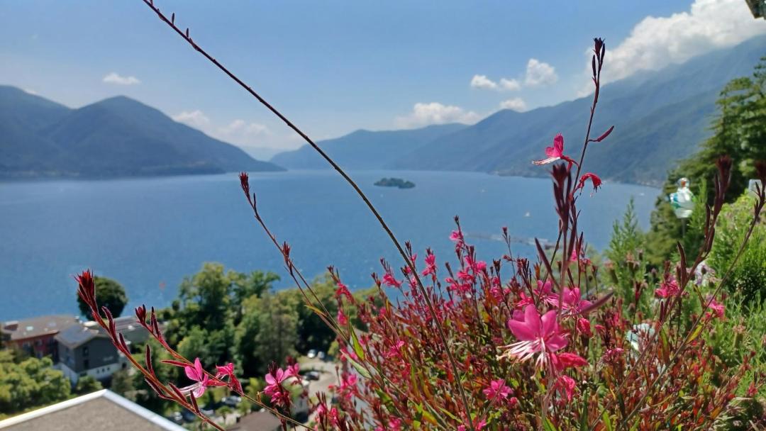 Photo of Others in Ascona