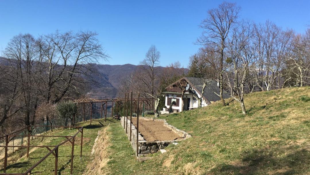 Photo of Buildings in Kanal
