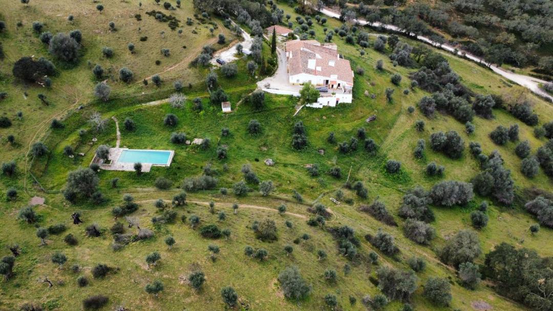 Photo of Buildings in Estremoz
