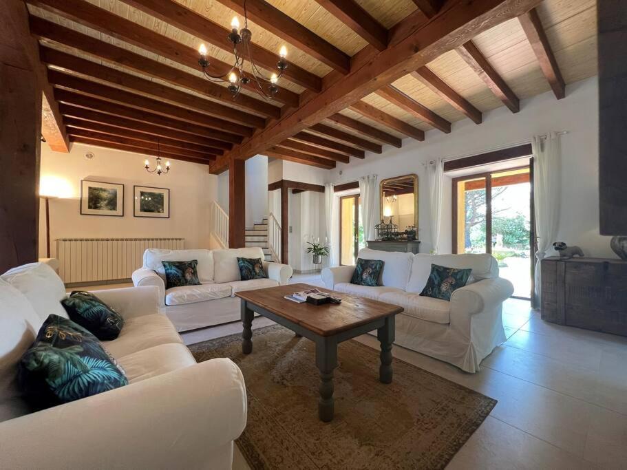 Photo of Livingroom in Alaigne