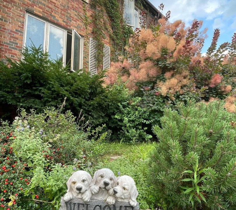 Photo of Others in Forest Hill South