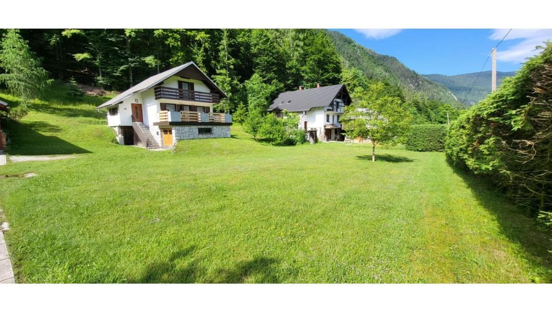 Photo of Others in Mojstrana