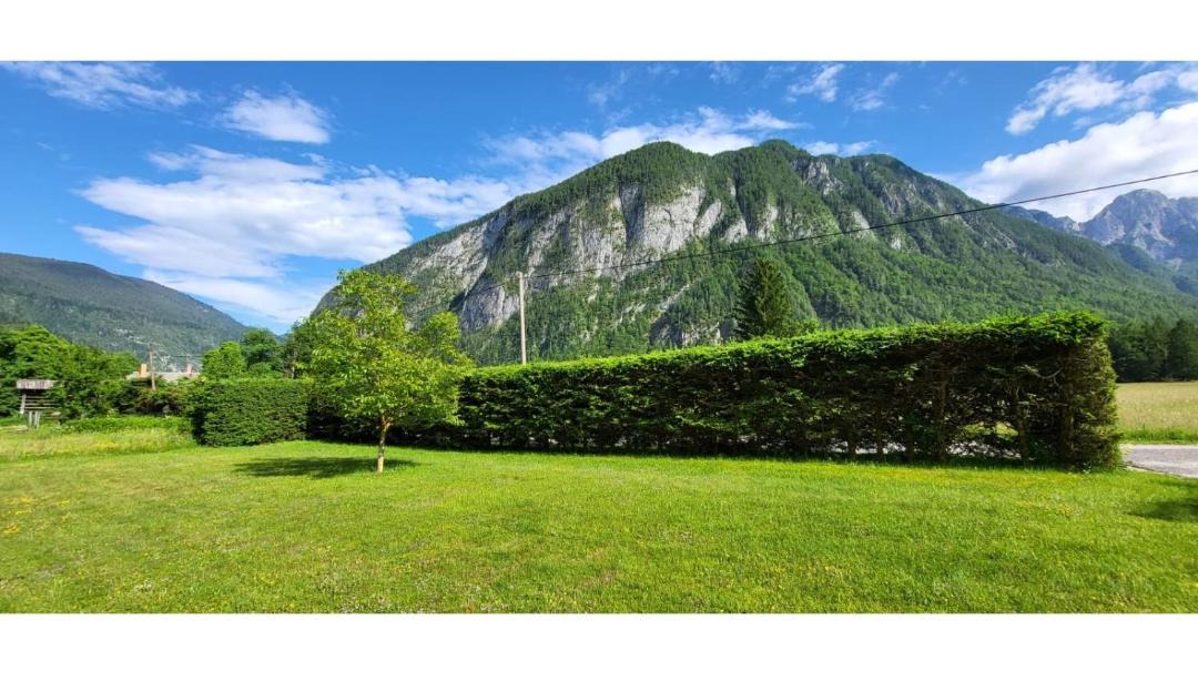 Photo of Others in Mojstrana