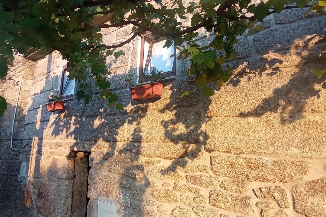 Photo of Others in Cabril