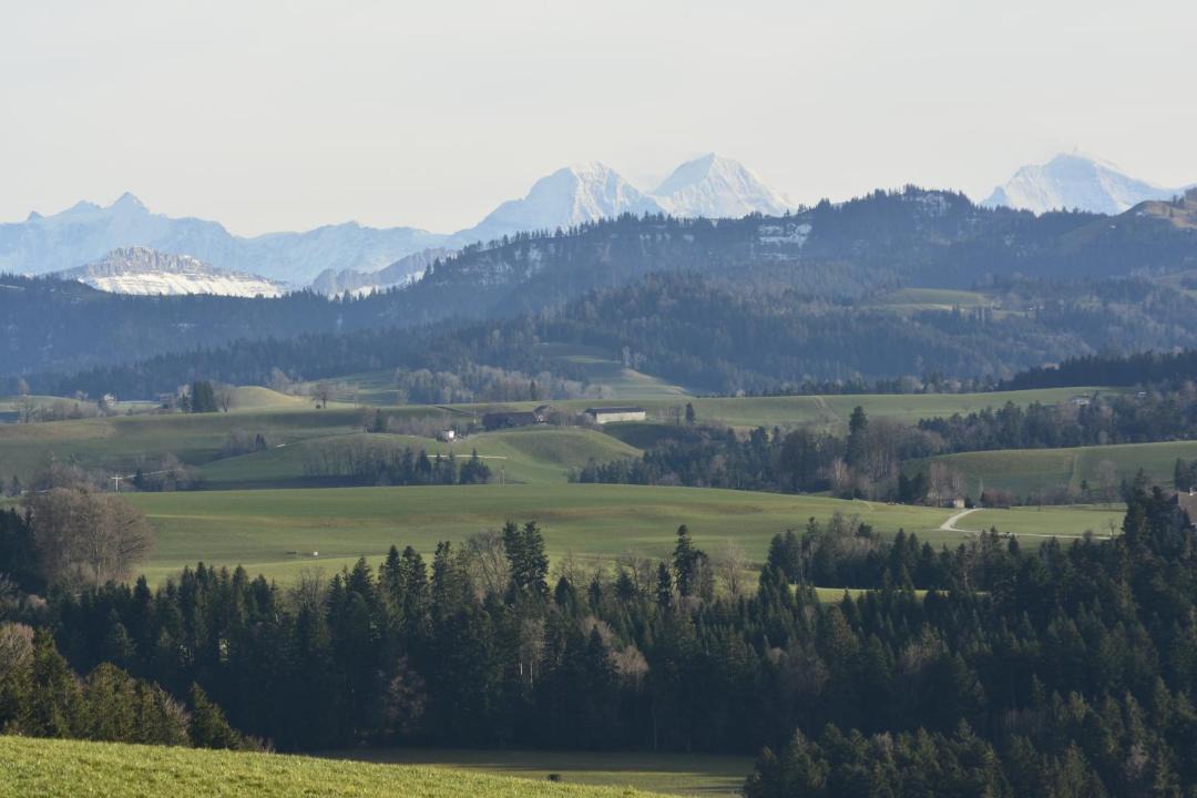 Photo of Others in Gondiswil