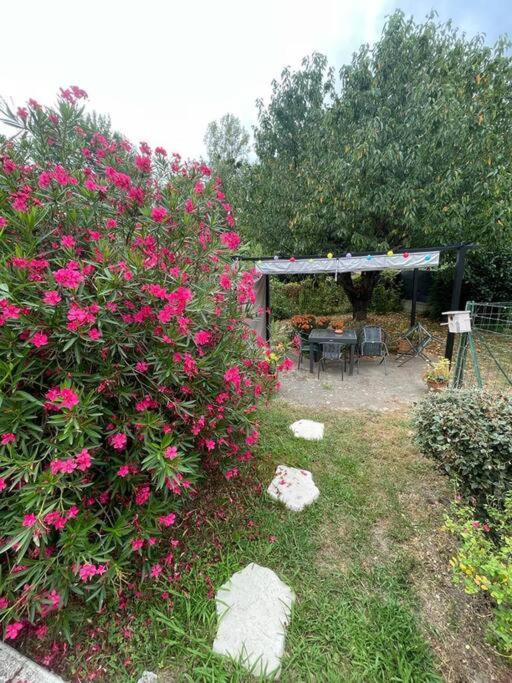 Photo of Outdoor in Le Vernet