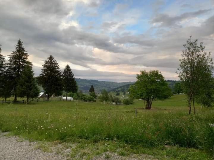 Photo of Others in Dorna Candrenilor