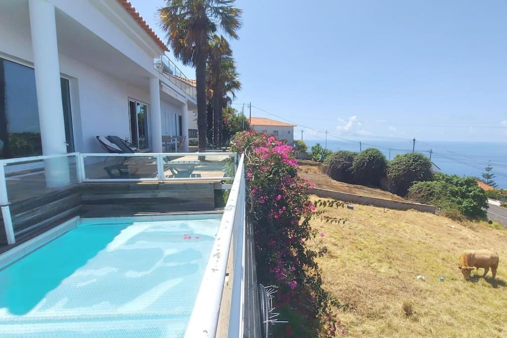 Photo of Others in Estreito da Calheta