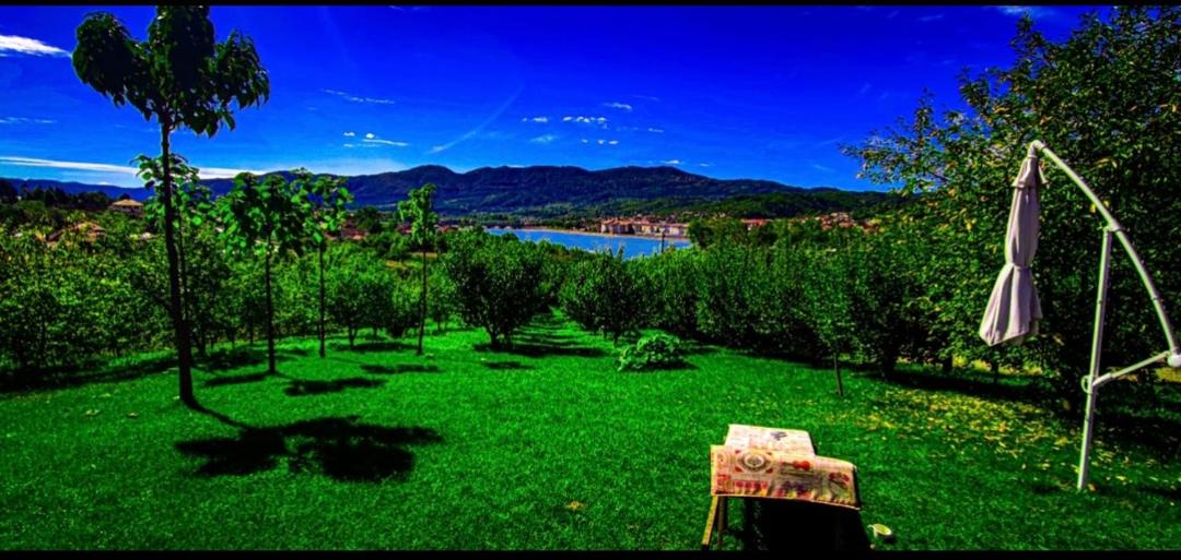 Photo of Others in Jiblea Veche