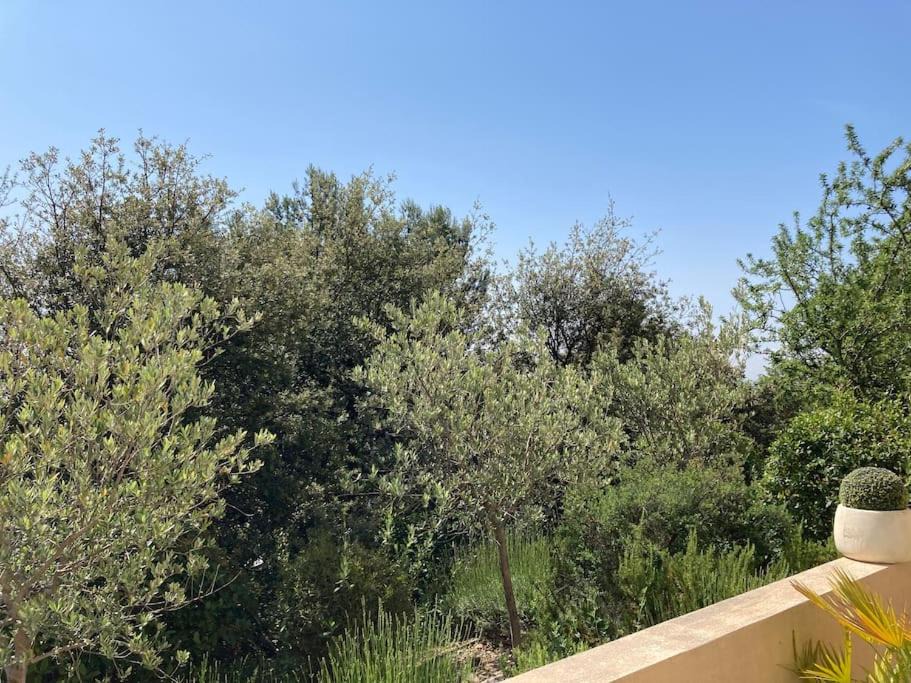 Photo of Outdoor in Les Hauts de Villeneuve