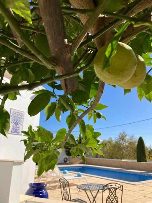 Photo of Others in Aldeia