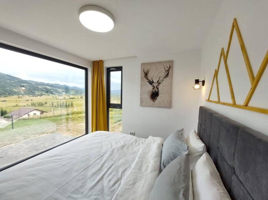 Photo of Bedroom in Saru Dornei