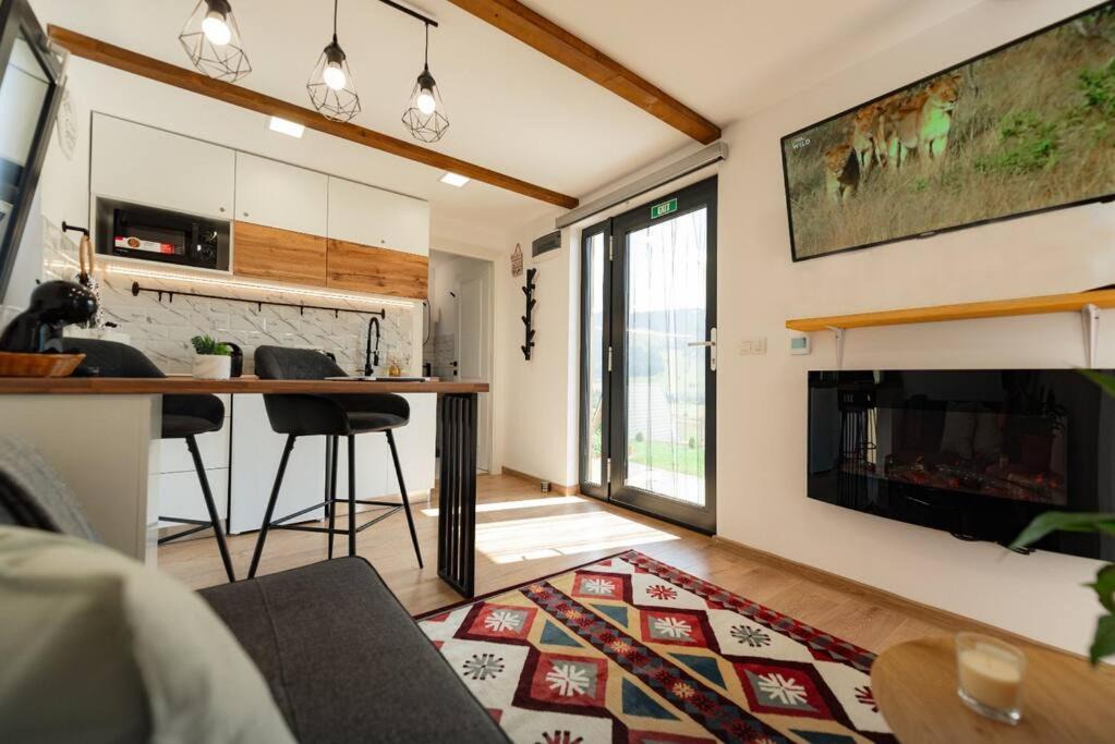 Photo of Livingroom in Saru Dornei