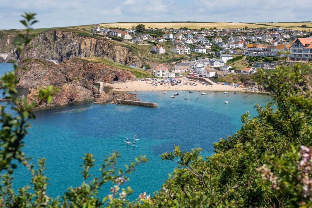 Photo of Others in Hope-Cove