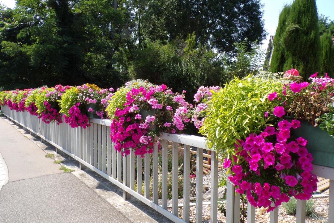 Photo of Others in Baldersheim