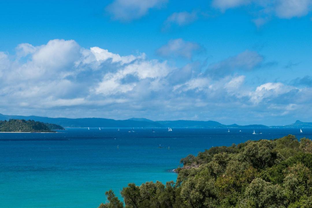 Photo of Outdoor in Shute Harbour