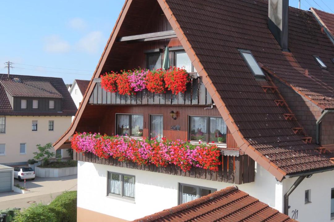 Photo of Others in Calw