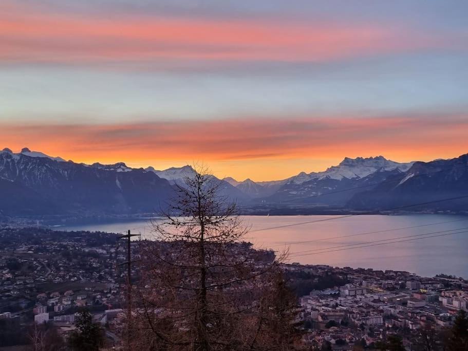 Photo of Outdoor in Chardonne