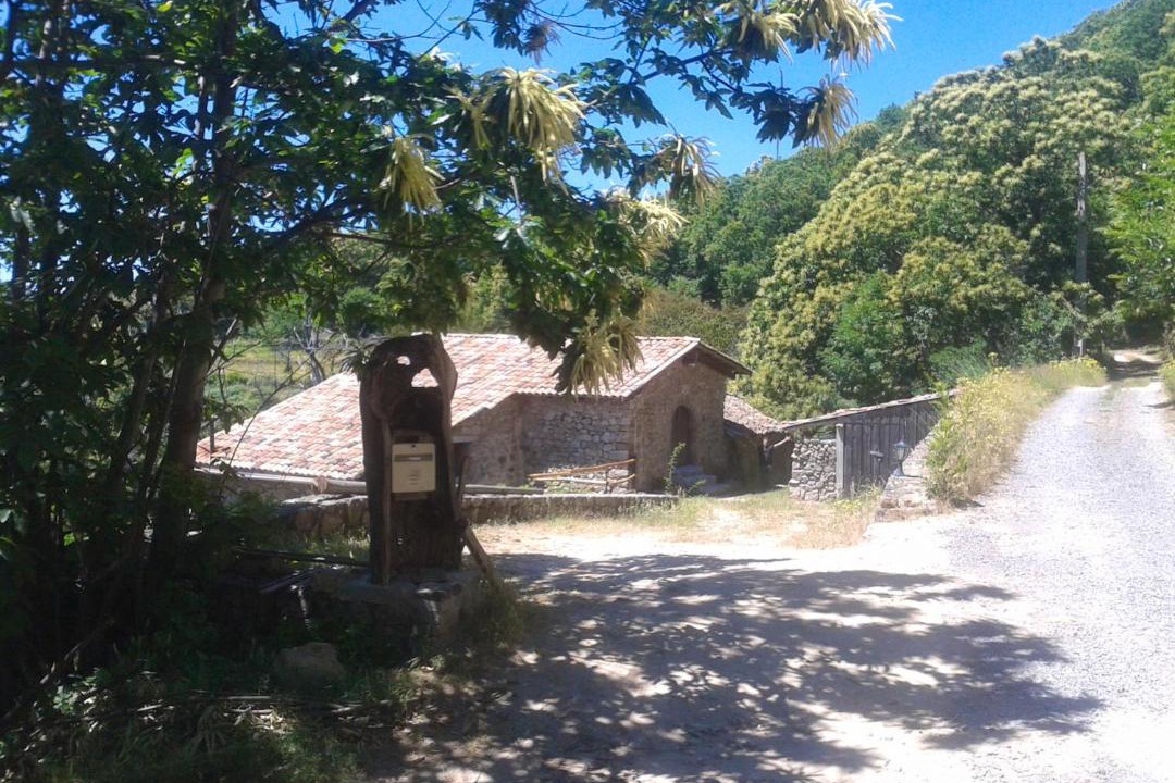 Photo of Others in Saint-Andeol-de-Vals