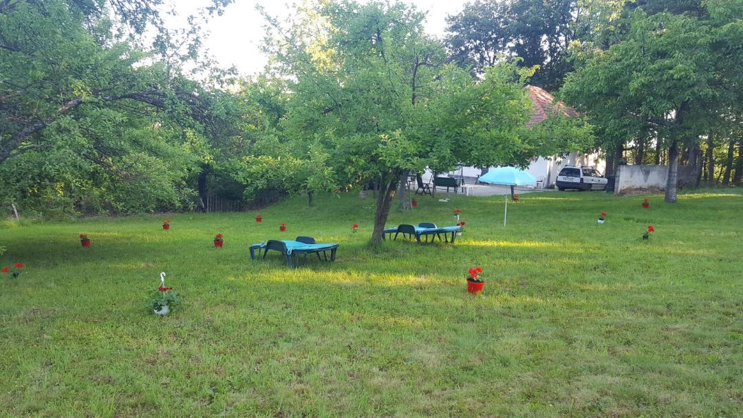 Photo of Others in Domasnea