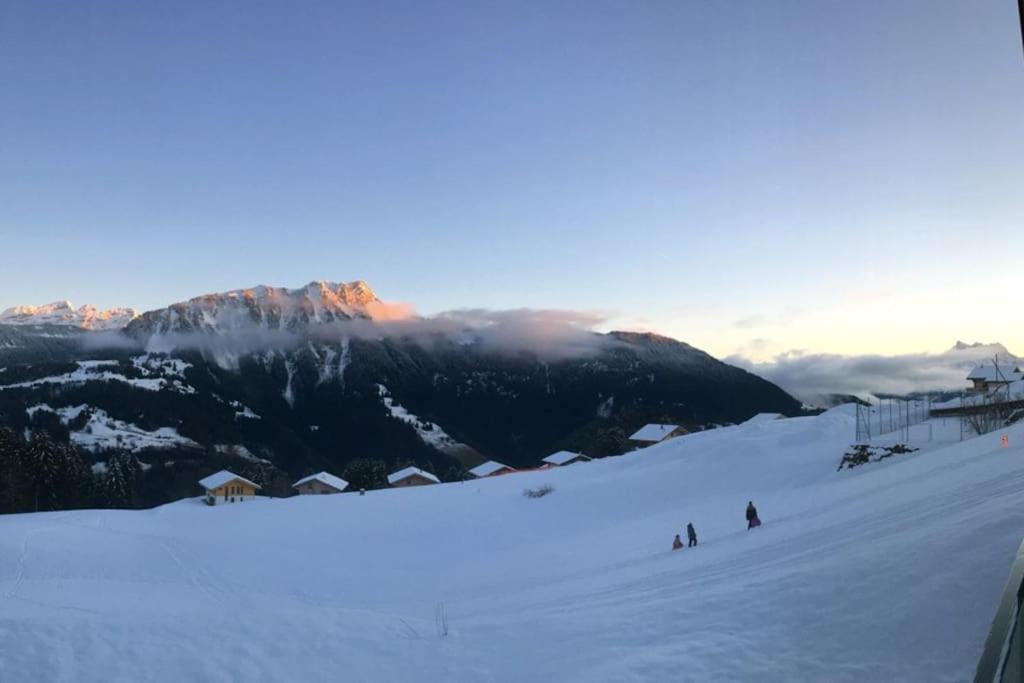 Photo of Others in Leysin