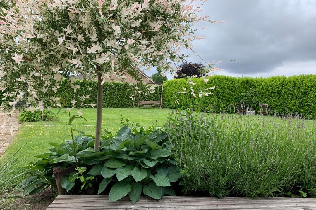 Photo of Outdoor in Dwingeloo