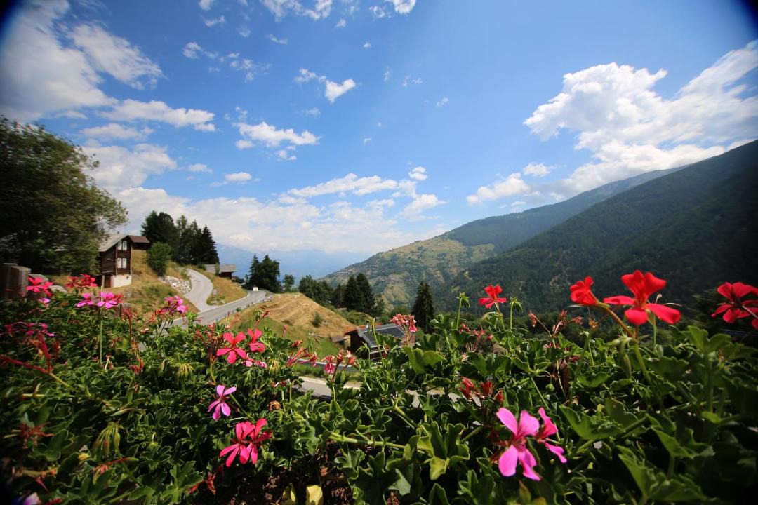 Photo of Others in Nendaz
