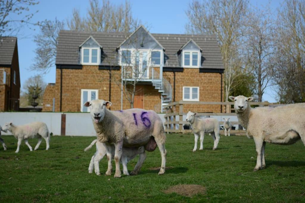 Photo of Others in Oakham