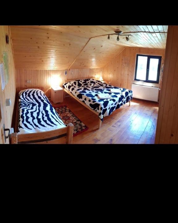 Photo of Bedroom in Sirnea
