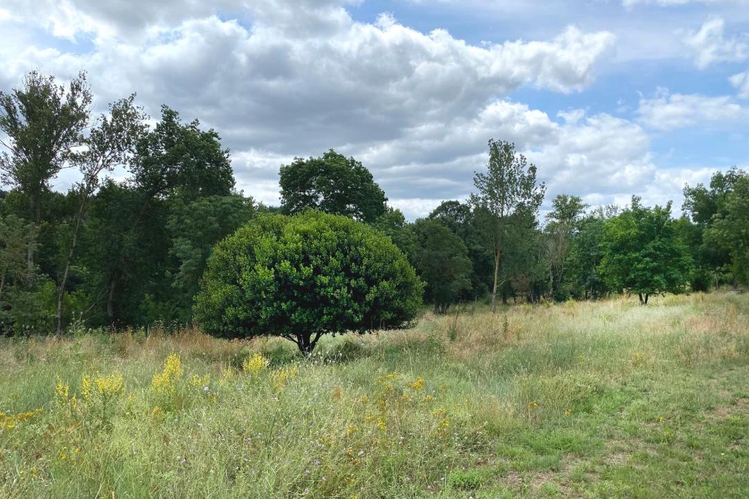 Photo of Outdoor in Ladern-sur-Lauquet