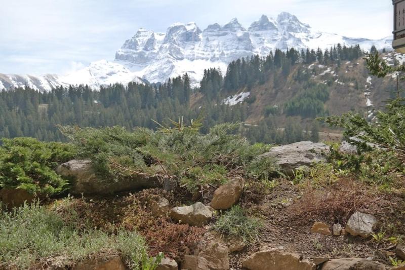 Photo of Outdoor in Champoussin