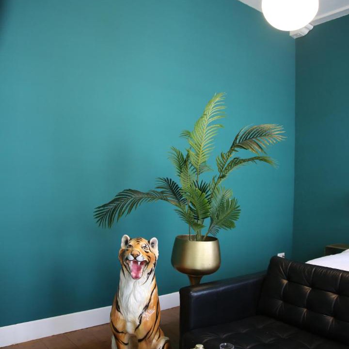 Photo of Livingroom in Nijmegen-Centrum