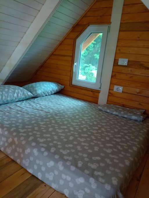 Photo of Bedroom in Gura Suhasului