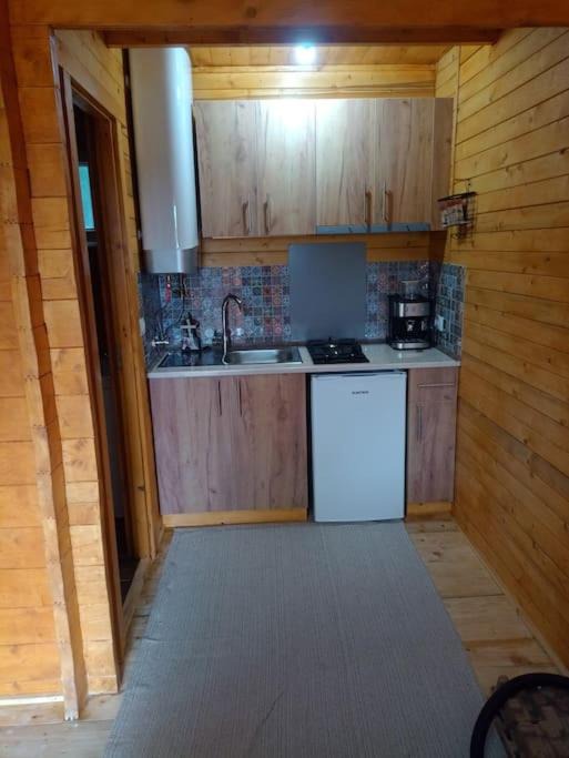 Photo of Kitchen in Gura Suhasului