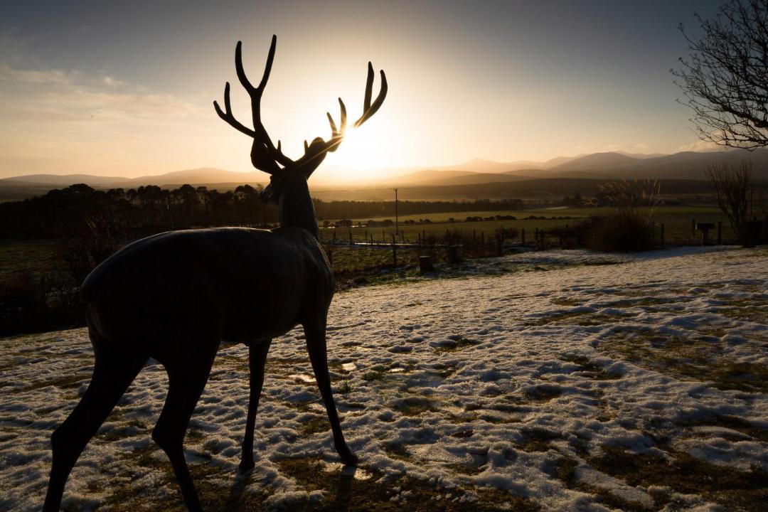 Photo of Others in Grantown-on-Spey