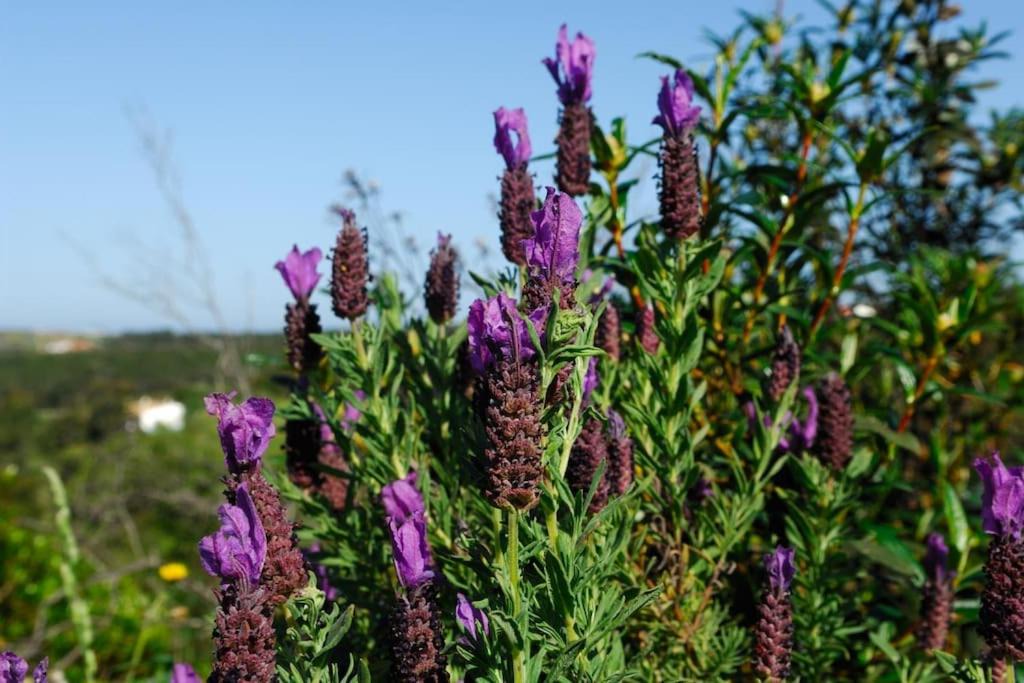 Photo of Outdoor in Abris