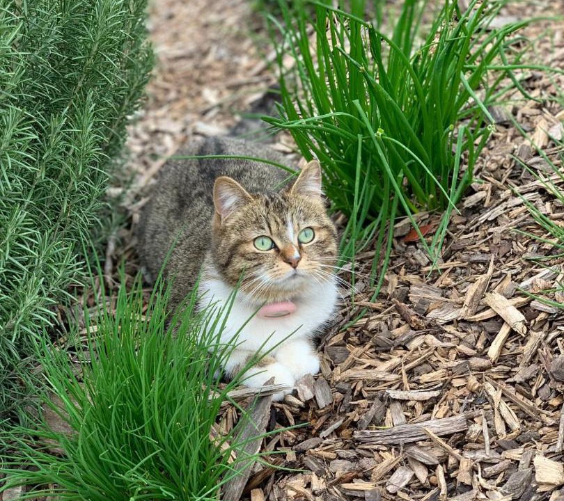 Photo of Outdoor in Saint-Loup-Geanges