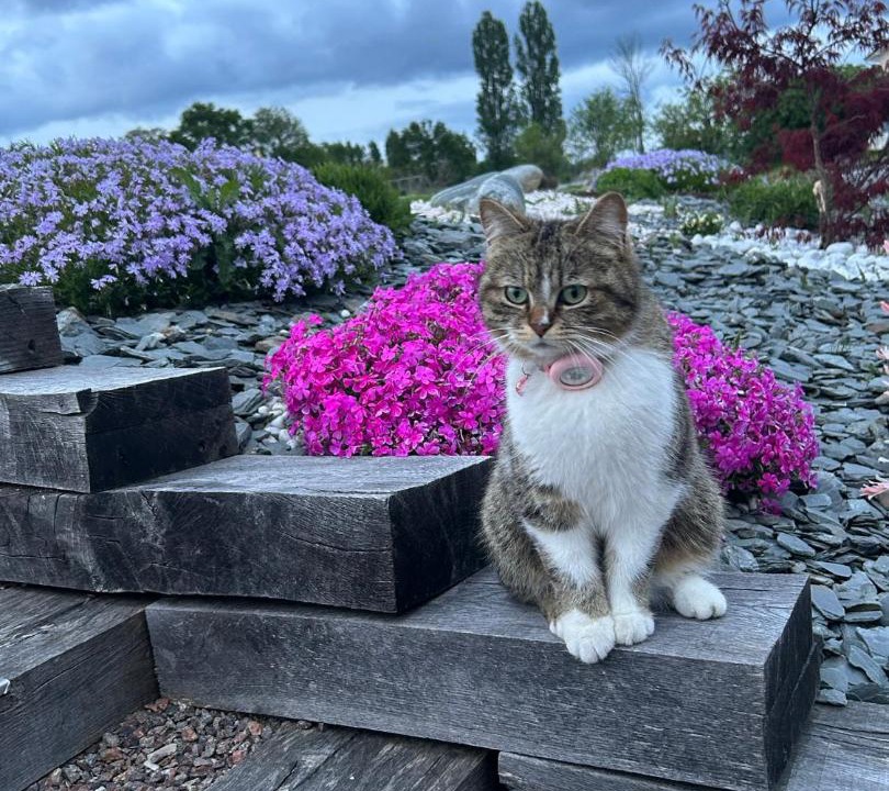 Photo of Outdoor in Saint-Loup-Geanges