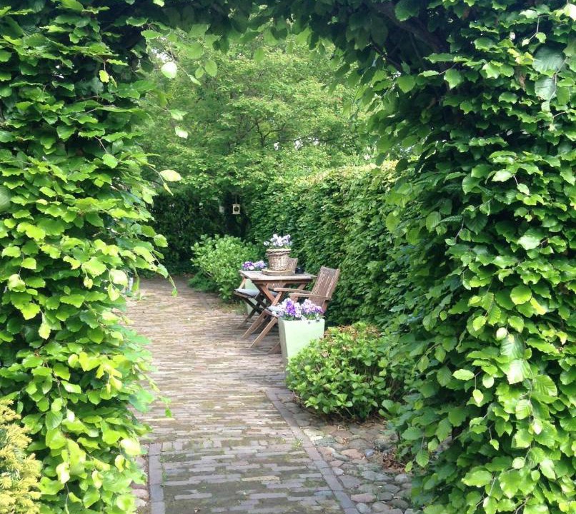 Photo of Others in Westeinde