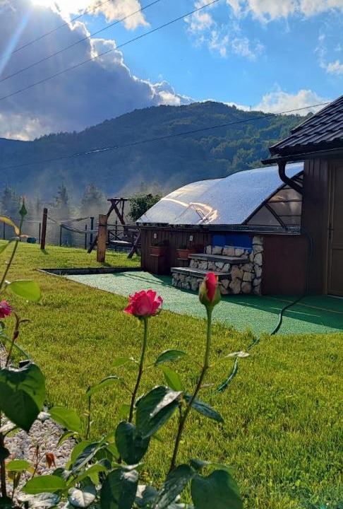 Photo of Others in Vidra