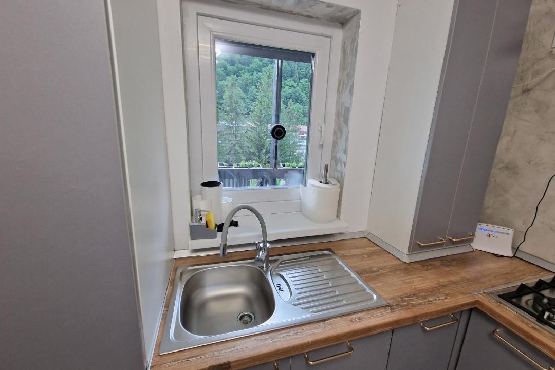 Photo of Kitchen in Slanic-Moldova