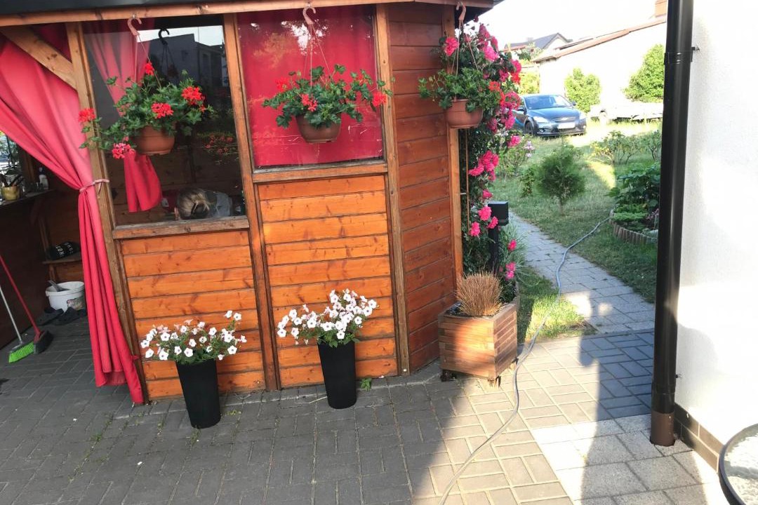 Photo of Others in Bolszewo