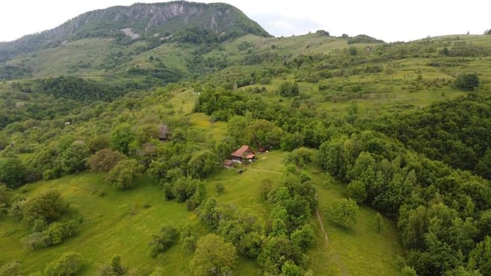 Photo of Outdoor in Blajeni