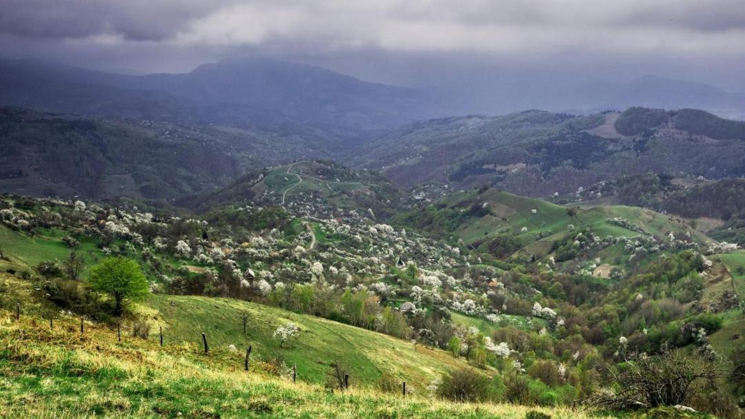 Photo of Outdoor in Blajeni