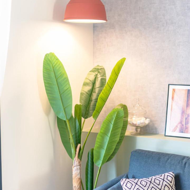 Photo of Livingroom in Le Somail