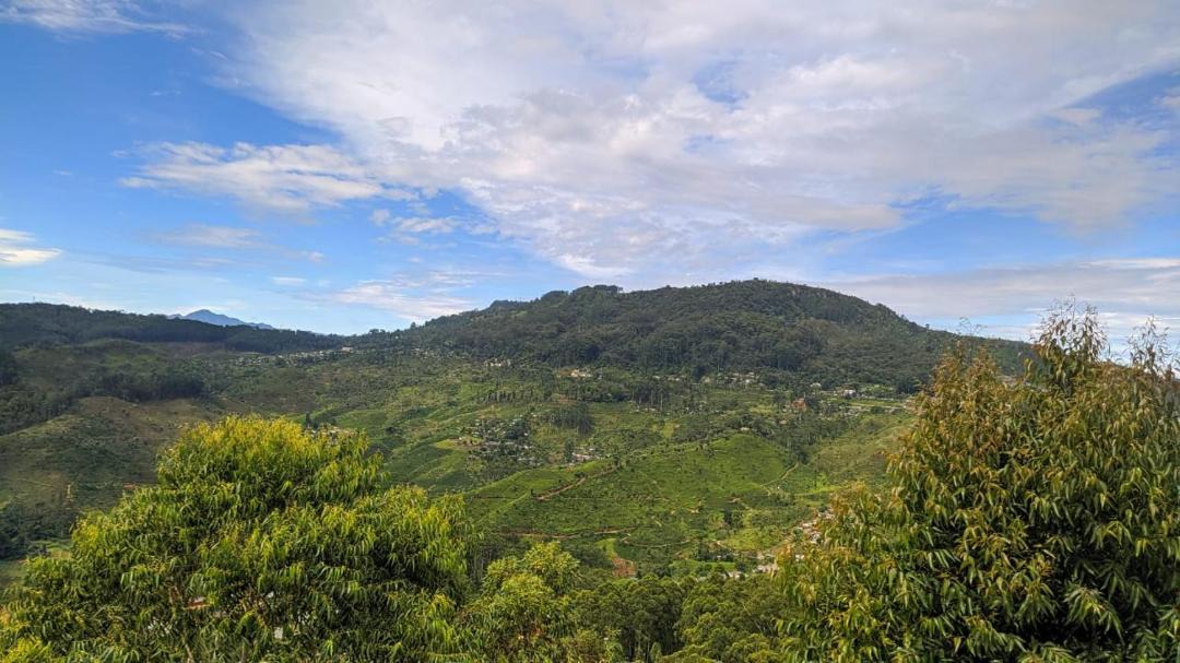 Photo of Others in Haputale