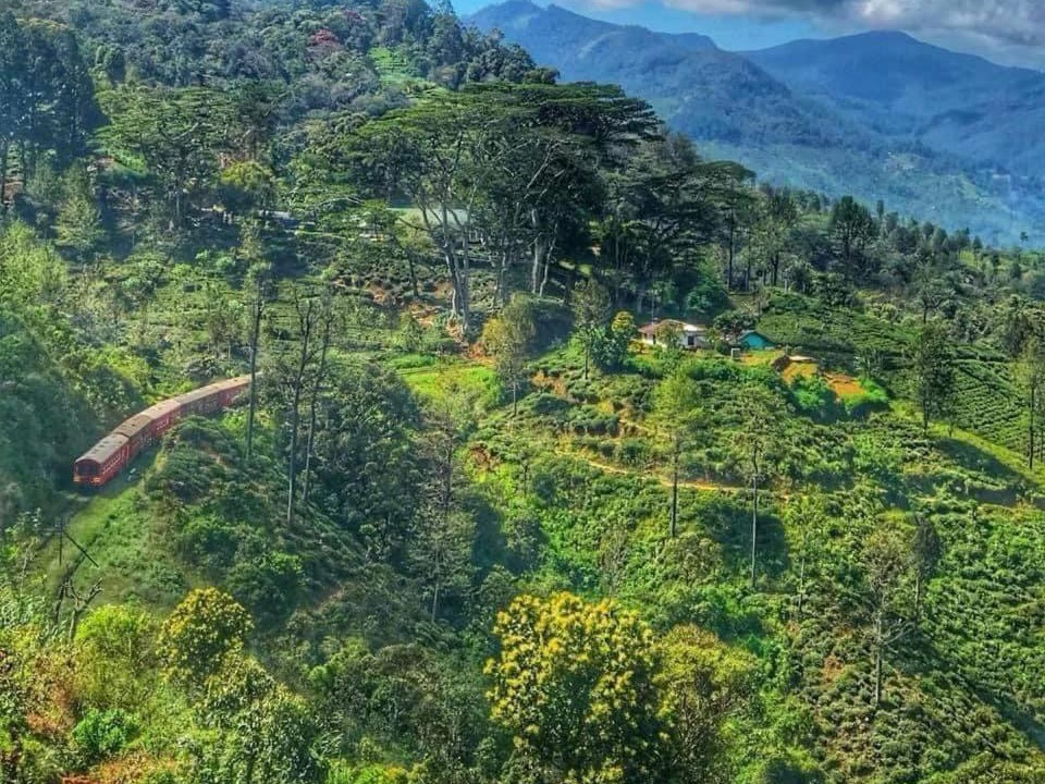 Photo of Others in Haputale