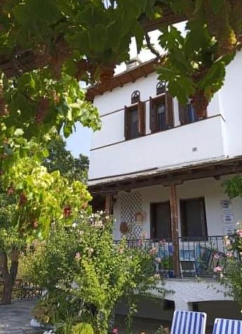 Photo of Buildings in Milies
