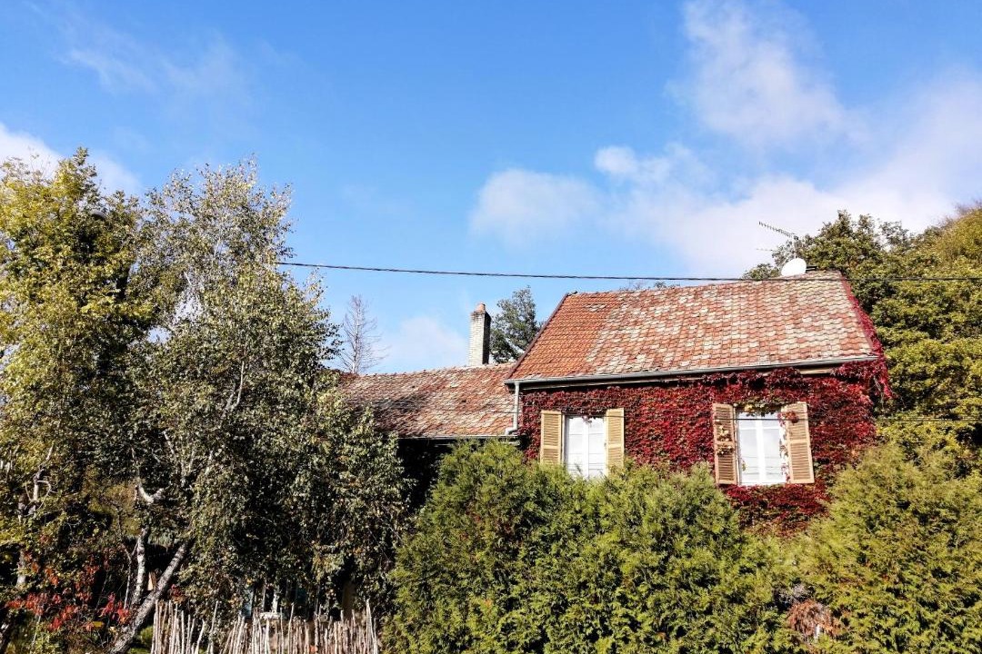 Photo of Buildings in Plancher-Bas
